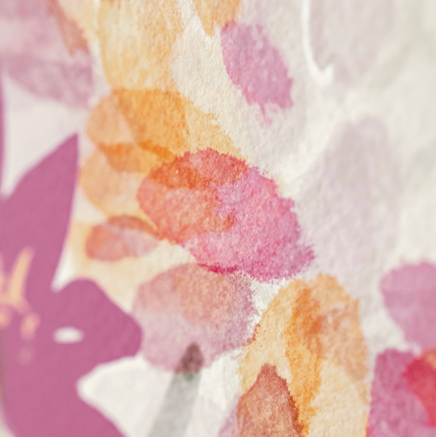 Still Life 1 → Signed & Numbered Fine Art Print (Limited Edition)