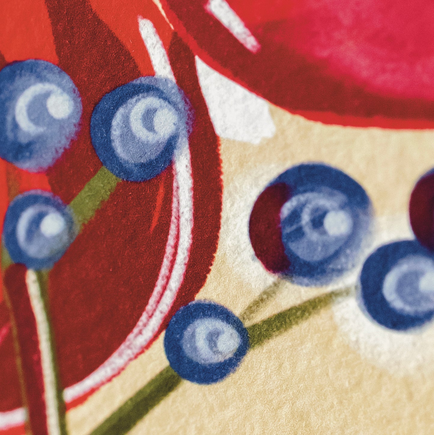 Still Life 5 → Signed & Numbered Fine Art Print (Limited Edition)