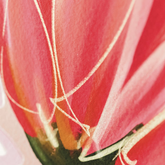 Still Life 3 → Signed & Numbered Fine Art Print (Limited Edition)